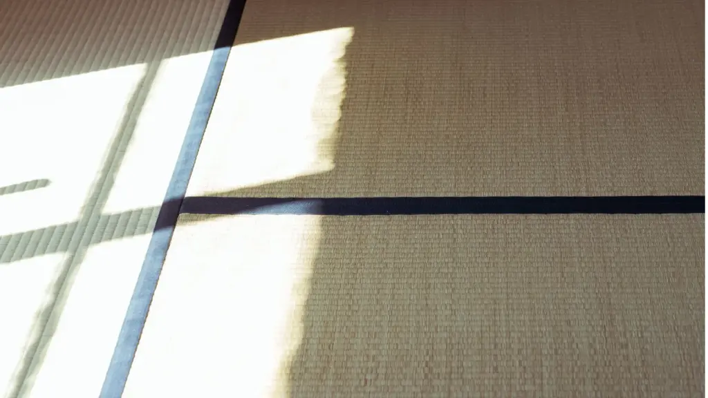 畳に差し込む柔らかな光。陰と陽が交わる静かな空間を表す写真。東洋医学の「調和と静けさ」を象徴しています。