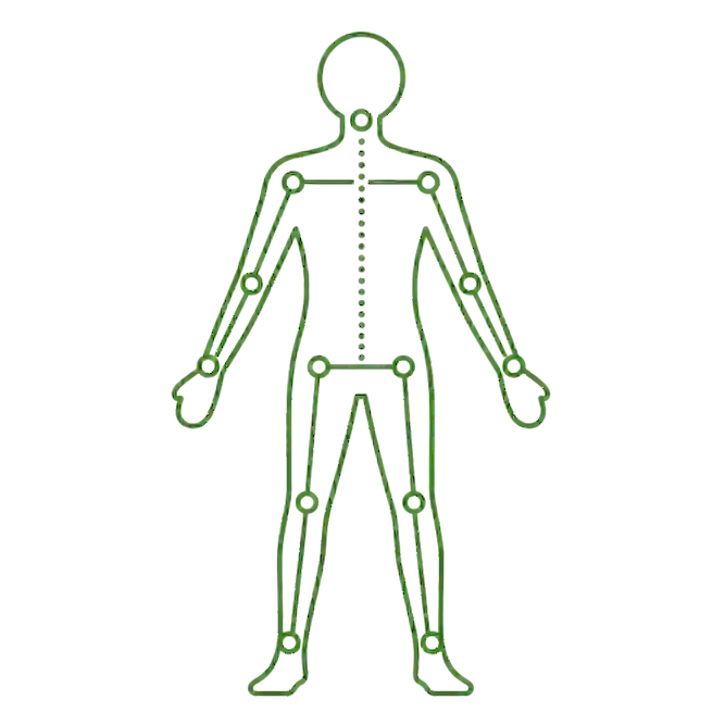 安泰軸整理論の構造を表す、関節と体の軸を示した緑色の人体ラインアイコン