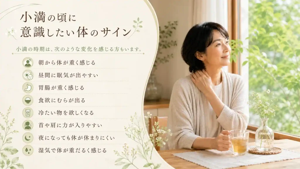 小満の頃に意識したい体のサインをまとめた画像。初夏の窓辺で女性が飲み物を手に新緑を眺めている。